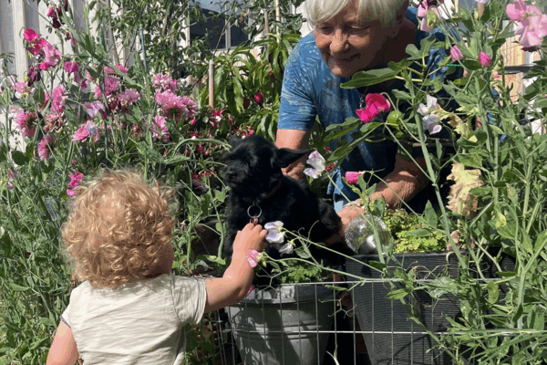 Vibeke Brix og dreng 2_web