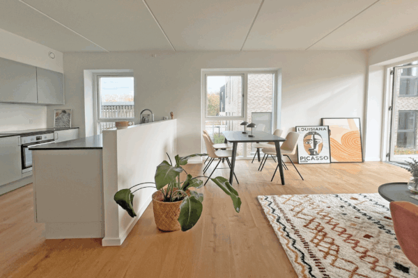 Køkken og spiseplads