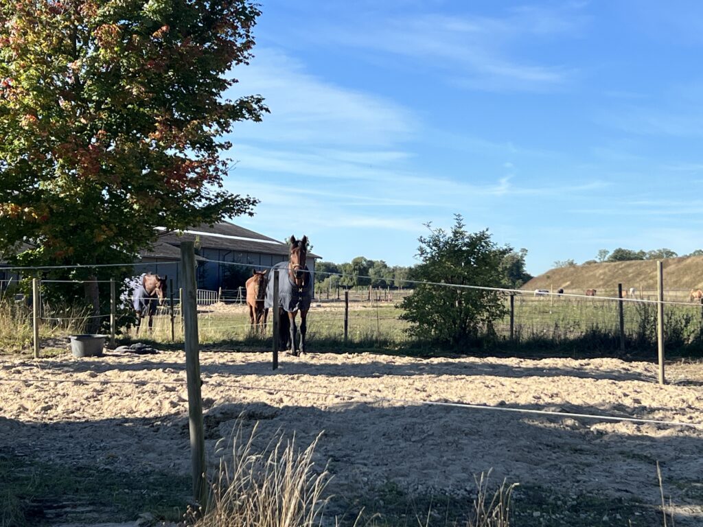 Rideklub