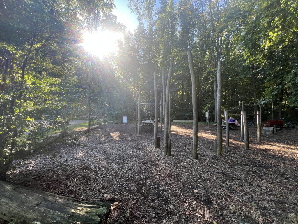 Tæt på skov