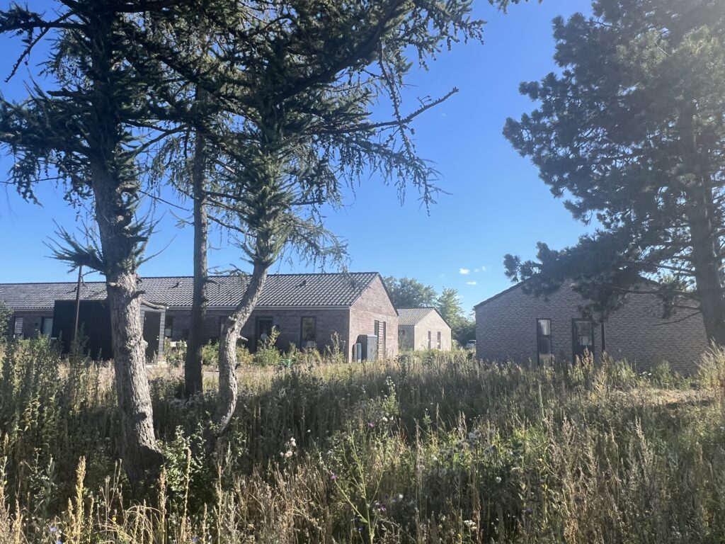 Rækkehuse i 1 plan